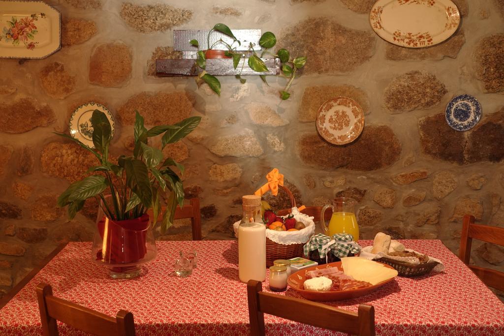 Casas Da Fonte - Serra Da Estrela Seia Dış mekan fotoğraf
