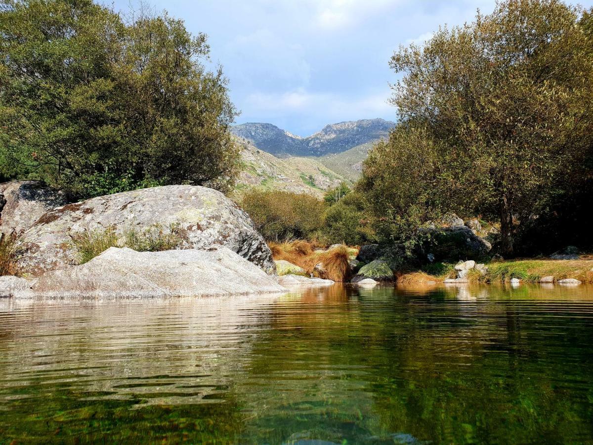 Casas Da Fonte - Serra Da Estrela Seia Dış mekan fotoğraf
